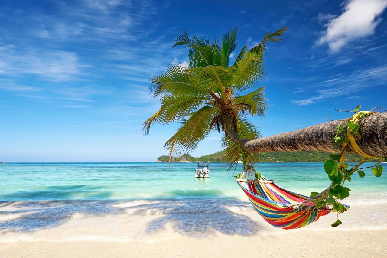 Perle du Cap- vert Ile de Sal Décembre 2025